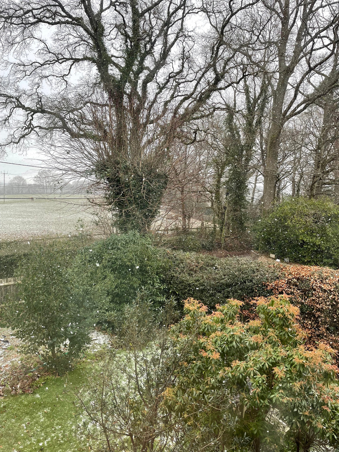 A belated Happy New Year, and welcome to 2026