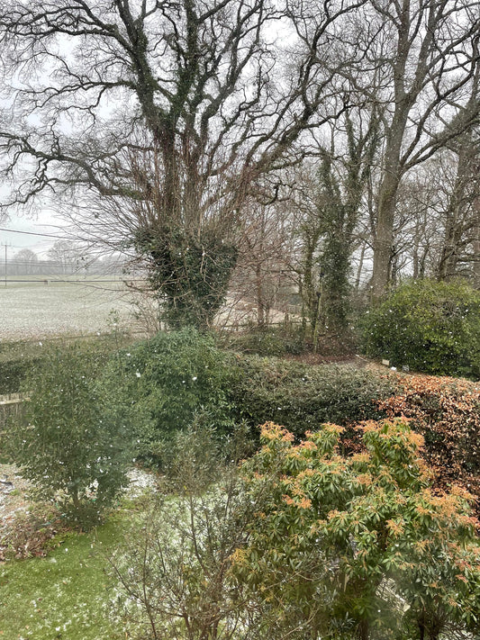 A belated Happy New Year, and welcome to 2026